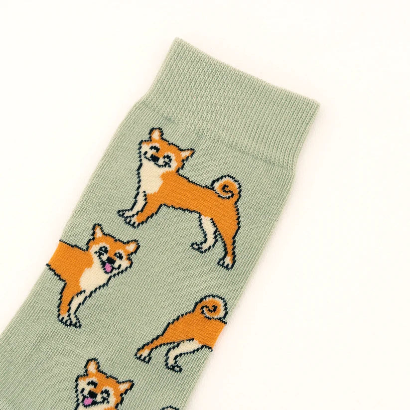 Chaussette Shiba