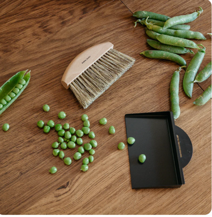 Ramasse-miettes Noir